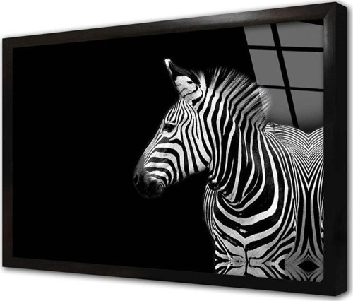 Zebra Çerçeveli Cam Tablo 30x40 cm