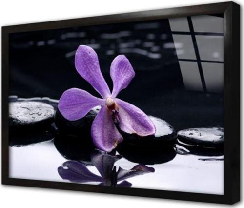 Spa Taşları Ve Orkide Çerçeveli Cam Tablo 60x90 cm