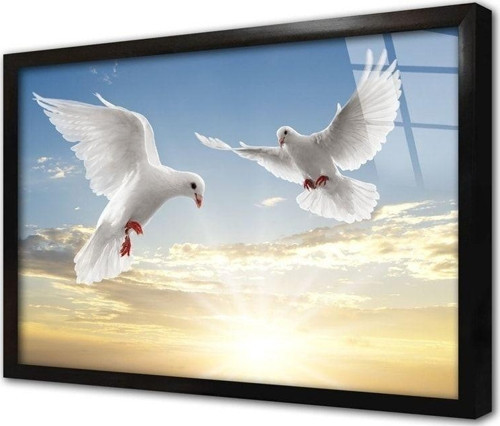 Beyaz Güvercinler Çerçeveli Cam Tablo 60x90 cm