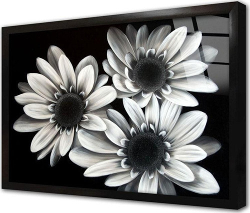 Siyah Beyaz Çiçek Çerçeveli Cam Tablo 60x90 cm