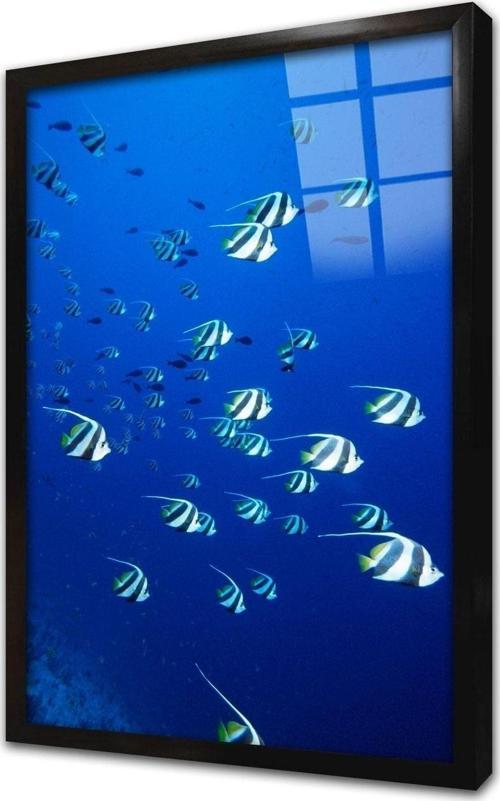 Denizaltı Çerçeveli Cam Tablo 30x40 cm