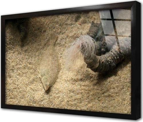 Denizaltı Çerçeveli Cam Tablo 30x40 cm