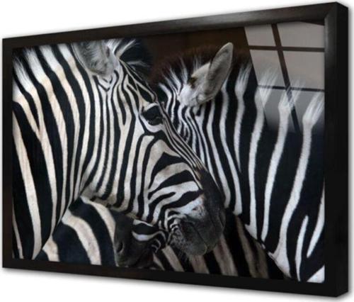 Yakın Çekim Zebra Çerçeveli Cam Tablo 60x90 cm