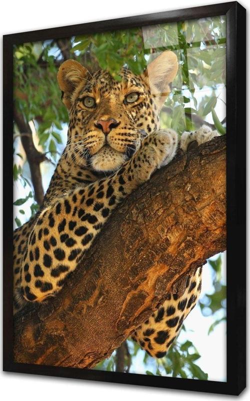 Vahşi Doğa Kaplan Çerçeveli Cam Tablo 60x90 cm