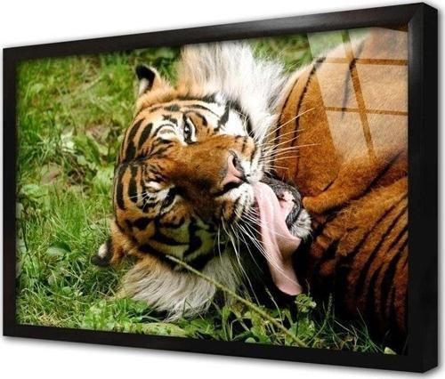 Vahşi Doğa Kaplan Çerçeveli Cam Tablo 30x40 cm