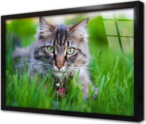 Kedi Çerçeveli Cam Tablo 30x40 cm