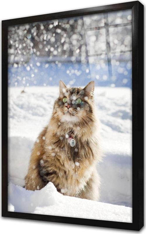 Kedi Çerçeveli Cam Tablo 30x40 cm