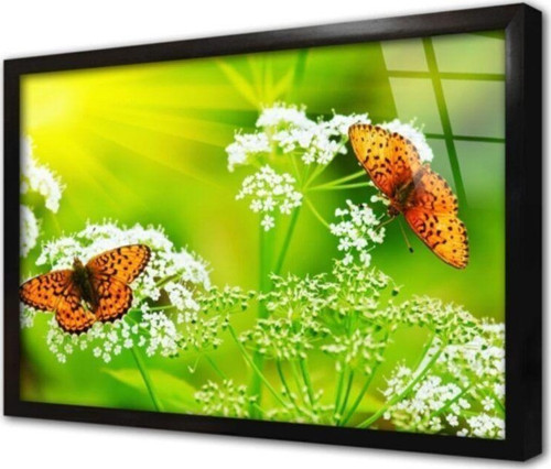 Kelebek Çerçeveli Cam Tablo 60x90 cm