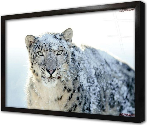 Vahşi Doğa Kaplan Çerçeveli Cam Tablo 60x90 cm
