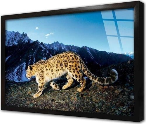 Vahşi Doğa Kaplan Çerçeveli Cam Tablo 60x90 cm