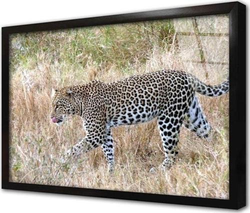Vahşi Doğa Kaplan Çerçeveli Cam Tablo 60x90 cm