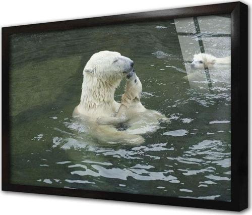 At Çerçeveli Cam Tablo 60x90 cm