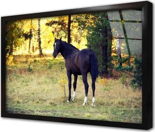 Kurt Çerçeveli Cam Tablo 60x90 cm