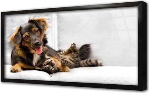 Köpek Ve Kedi Çerçeveli Cam Tablo 20x30 cm