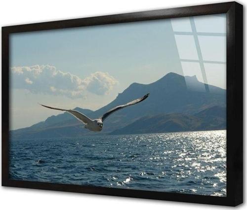 Kanat Açmış Martı Çerçeveli Cam Tablo 60x90 cm