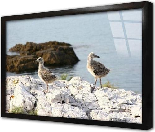 Martı Çerçeveli Cam Tablo 60x90 cm