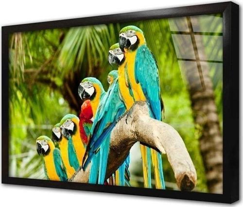 Rengarenk Papağan Çerçeveli Cam Tablo 60x90 cm