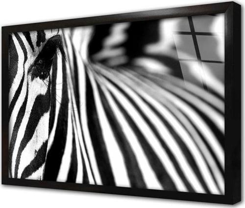 Yakın Çekim Zebra Çerçeveli Cam Tablo 20x30 cm