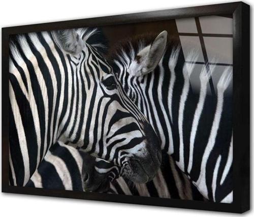 Yakın Çekim Zebra Çerçeveli Cam Tablo 20x30 cm