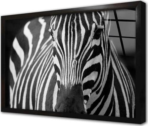 Yakın Çekim Zebra Çerçeveli Cam Tablo 20x30 cm
