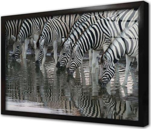 Zebra Sürüsü Çerçeveli Cam Tablo 20x30 cm