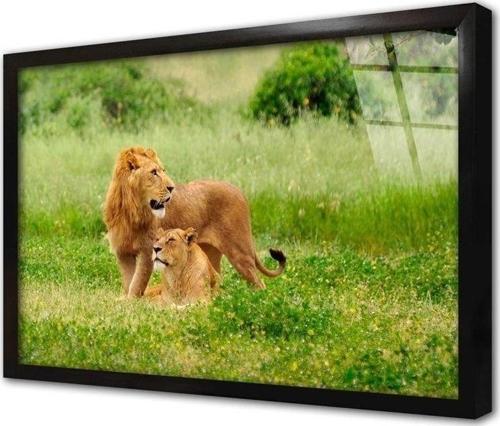 Aslan Çerçeveli Cam Tablo 60x90 cm