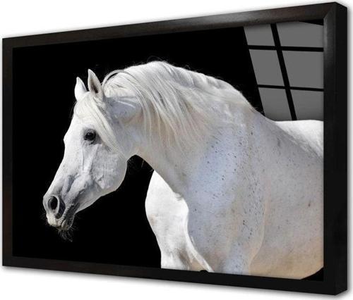 Beyaz At Çerçeveli Cam Tablo 20x30 cm