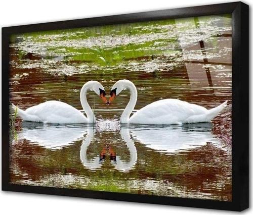 Beyaz Kuğu Çerçeveli Cam Tablo 20x30 cm