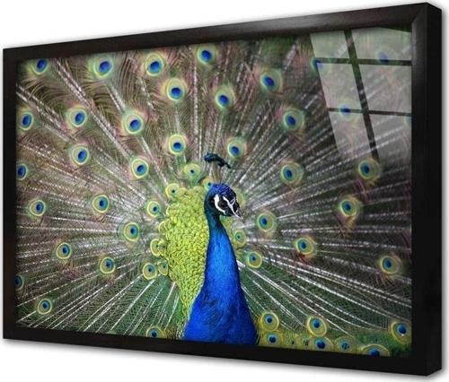 Yakın Çekim Tavus Kuşu Çerçeveli Cam Tablo 20x30 cm
