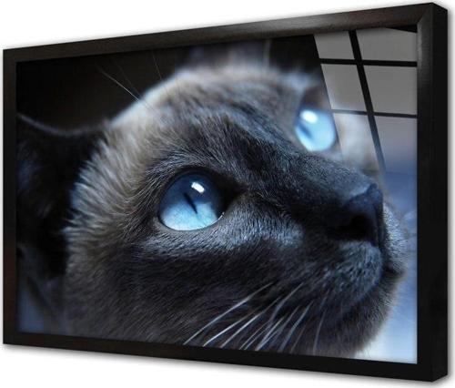 Gri Kedi Çerçeveli Cam Tablo 20x30 cm