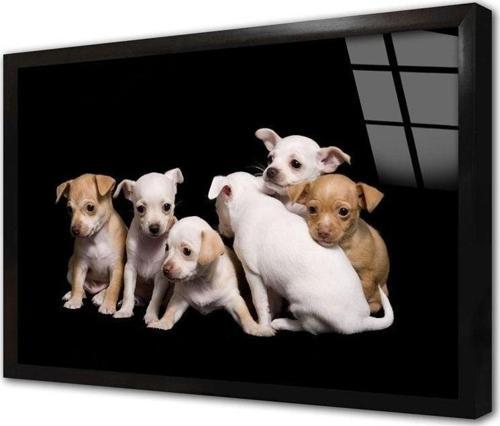 Köpek Yavrusu Çerçeveli Cam Tablo 20x30 cm