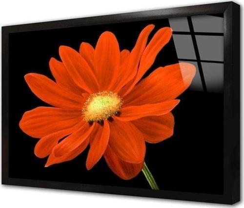 Kırmızı Çiçek Çerçeveli Cam Tablo 20x30 cm