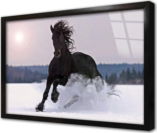 Koşan Siyah At Çerçeveli Cam Tablo 20x30 cm