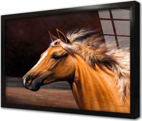 Kahverengi At Çerçeveli Cam Tablo 50x70 cm