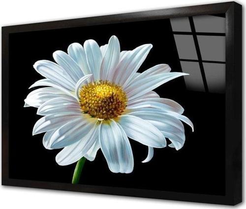 Papatya Çerçeveli Cam Tablo 20x30 cm