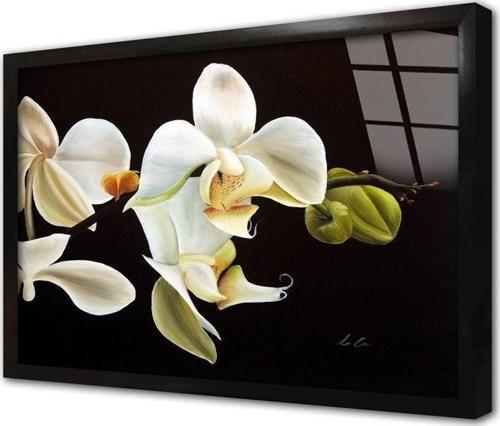 Siyah Beyaz Çiçek Çerçeveli Cam Tablo 50x70 cm