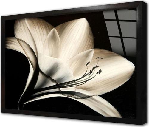 Siyah Beyaz Çiçek Çerçeveli Cam Tablo 50x70 cm