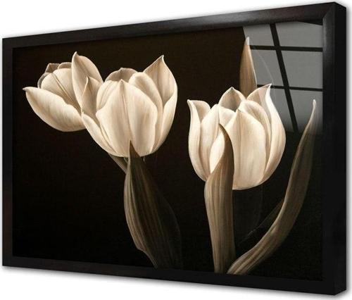 Siyah Beyaz Çiçek Çerçeveli Cam Tablo 50x70 cm
