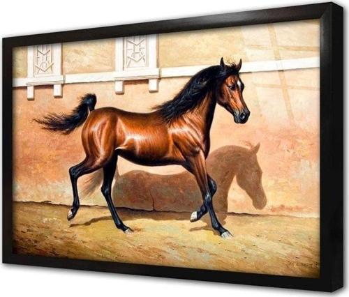 Duran Kahverengi At Çerçeveli Cam Tablo 20x30 cm
