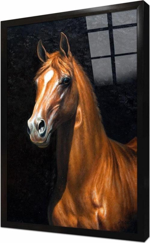 Siyah Fonda Kahverengi Yeleli At Çerçeveli Cam Tablo 20x30 cm