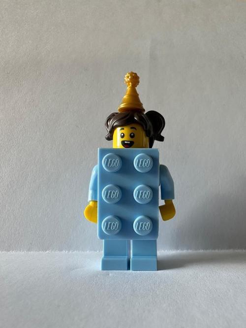 Orjinal Minifigür Brick Girl +6 Yaş (1 Parça)