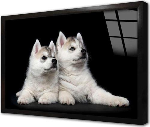 Beyaz Köpek Çerçeveli Cam Tablo 50x70 cm