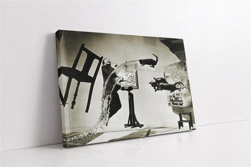 Dali Atomicus Philippe Halsman Kanvas Tablo