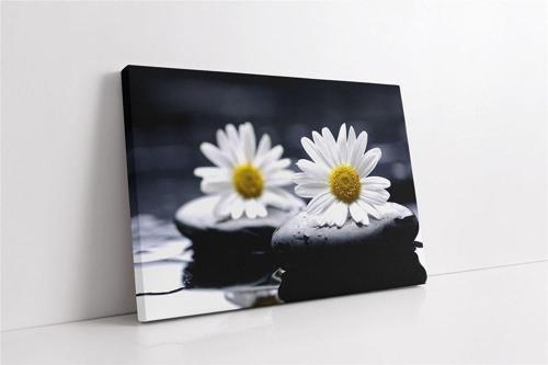 Spa Taşları Ve Papatya Kanvas Tablo