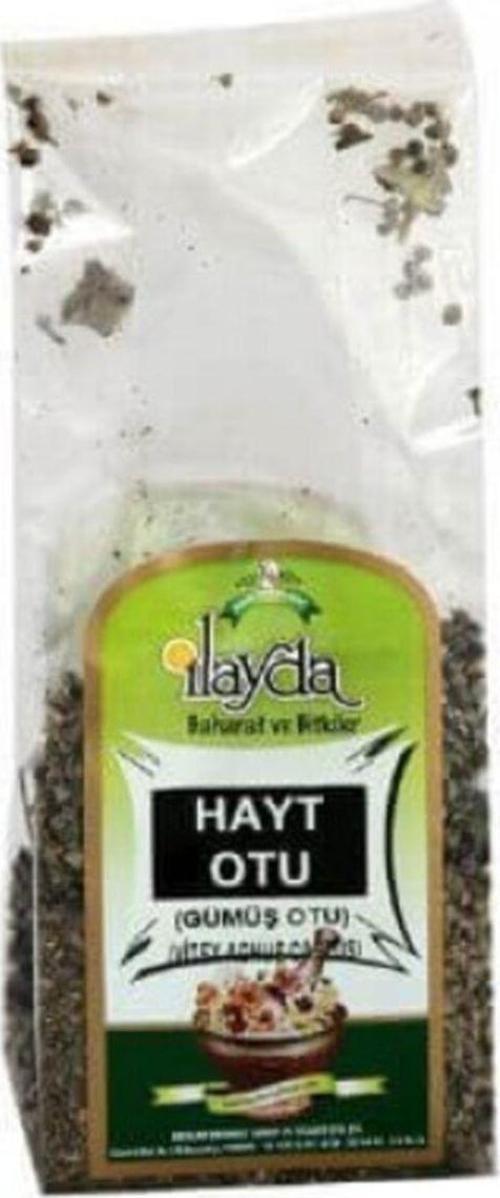 Ilayda Hayıt Otu