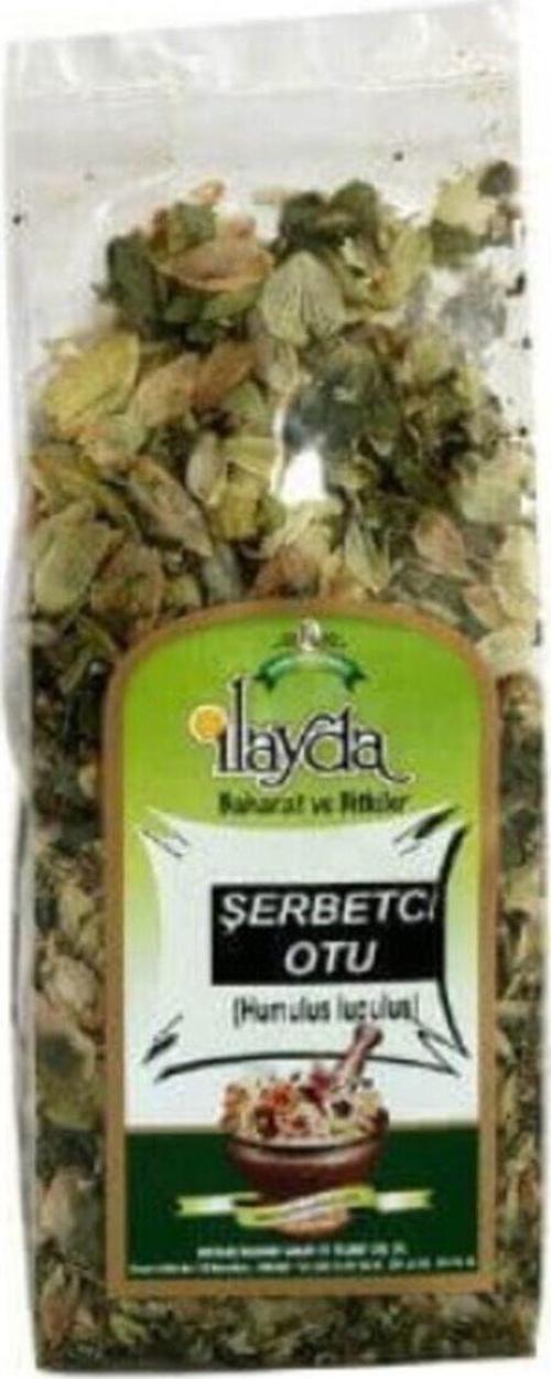 Ilayda Şerbetçi Otu