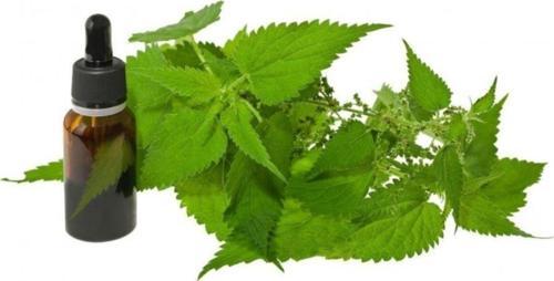 Isırgan Tohumu Yağı 20 Ml