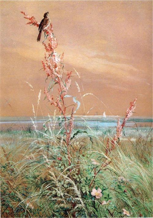 Suluboya Kırmızı Çiçekli Manzara Kanvas Tablo 20x30 cm Kb27193 20x30 cm
