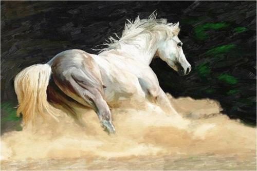 Yağlı Boya Beyaz At Kanvas Tablo 20x30 cm 20x30 cm