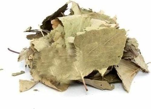 Ayva Yaprağı 20 G